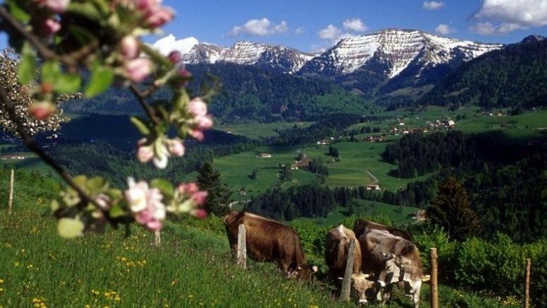 Fewo Alpenbrise, 上施陶芬 外观 照片